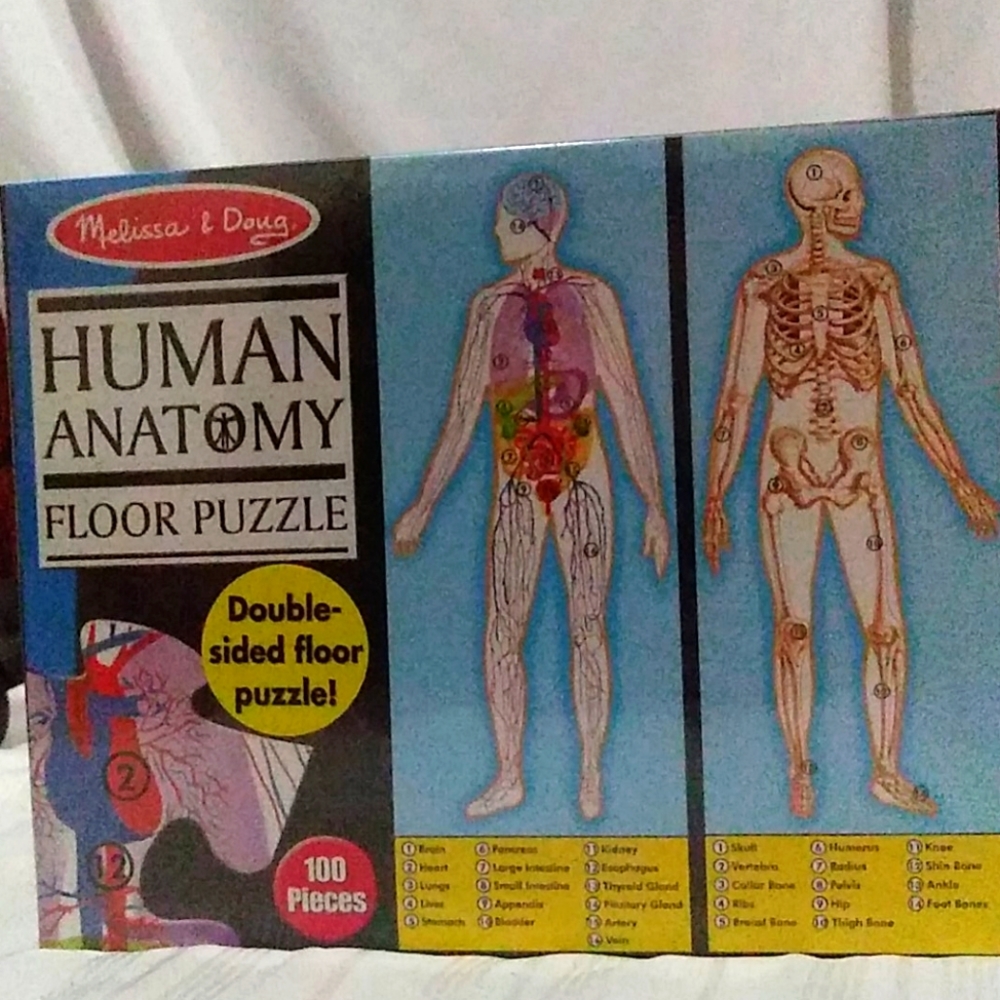 Floor puzzle Human Anatomy